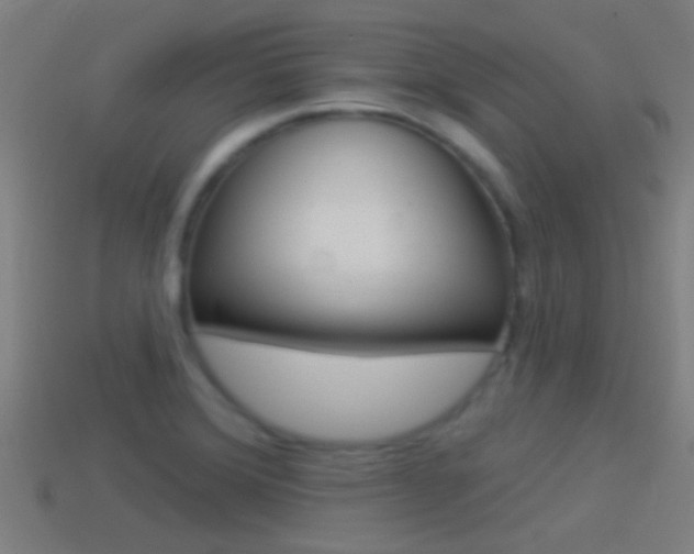 X0000114511372200910190920