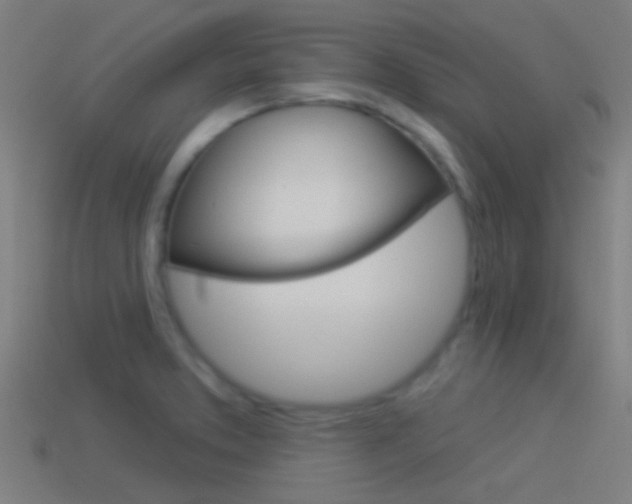X0000114511373200910190920