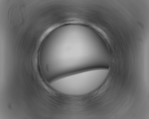 X0000114511375200910190920