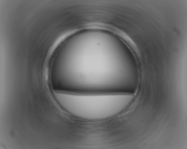 X0000114511376200910190920