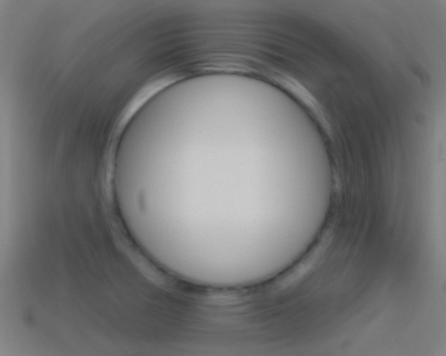 X0000114511378200910190920