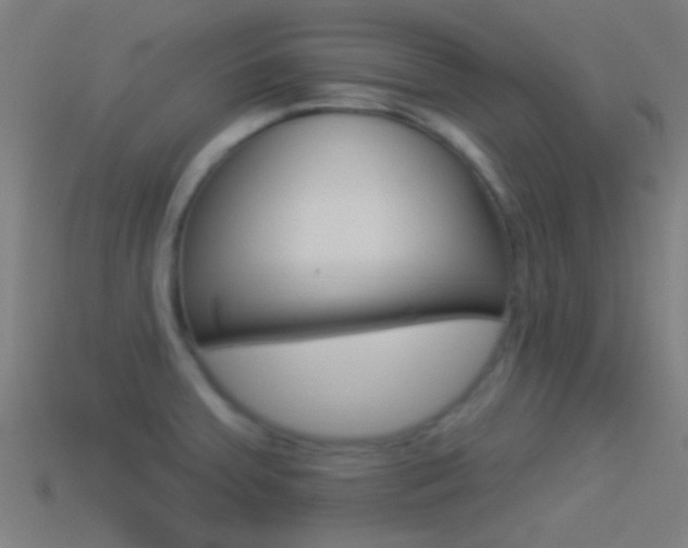 X0000114511379200910190920
