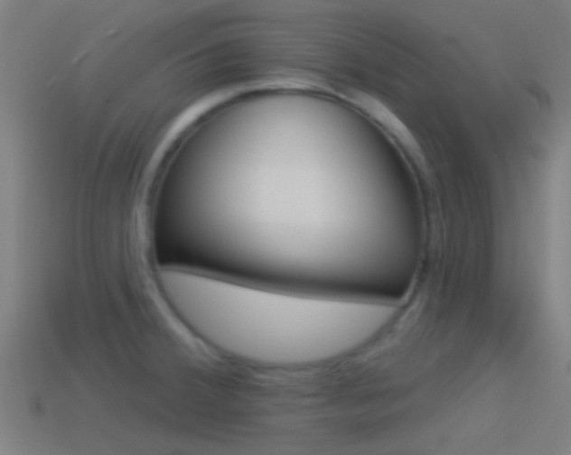 X0000114511380200910190920