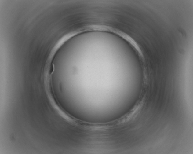 X0000114511381200910190920