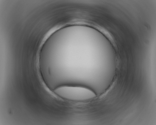 X0000114511382200910190920