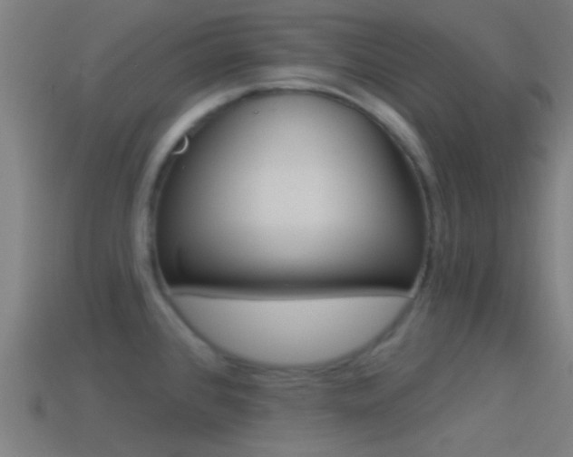 X0000114511384200910190920