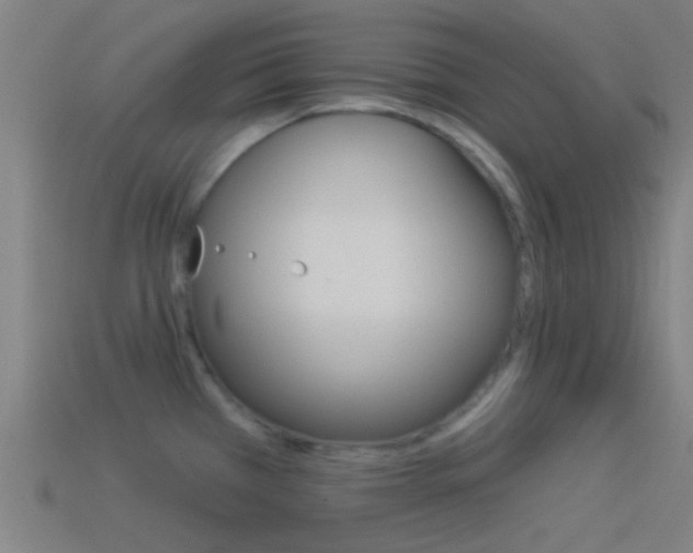 X0000114511385200910190920