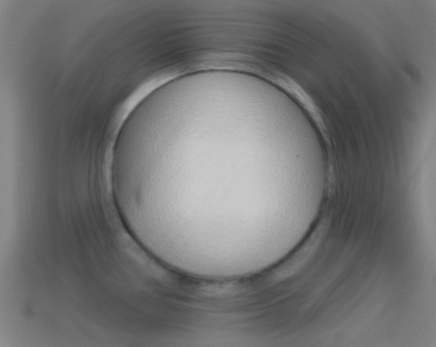 X0000114511386200910190920
