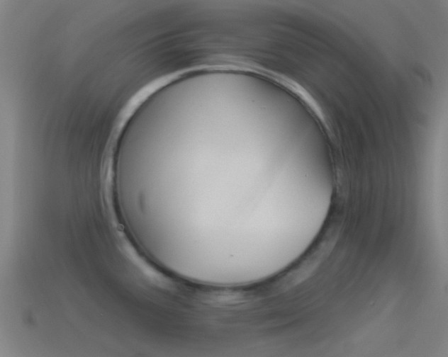 X0000114511387200910190920