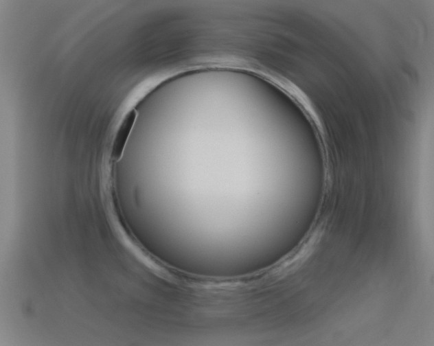X0000114511389200910190920