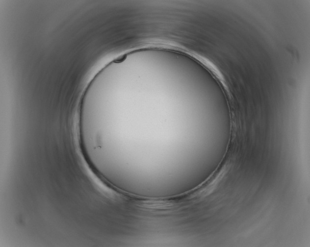 X0000114511391200910190920