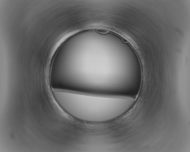 X0000114511392200910190920