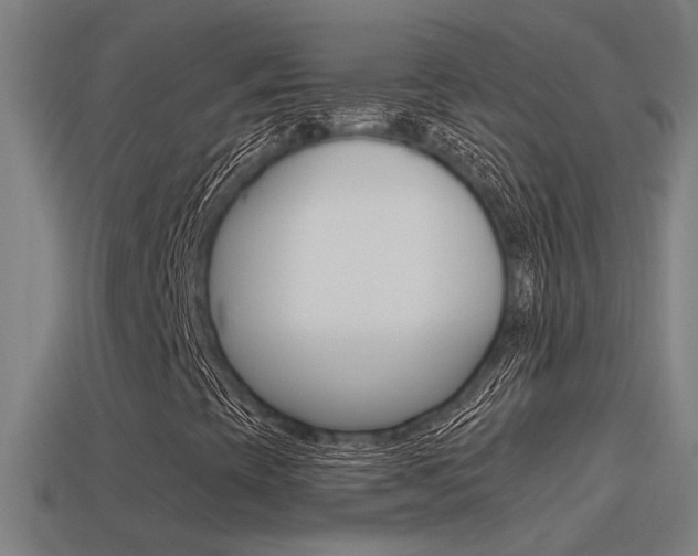 X0000114511393200910190919