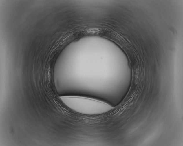 X0000114511394200910190919