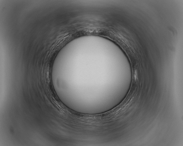 X0000114511396200910190919