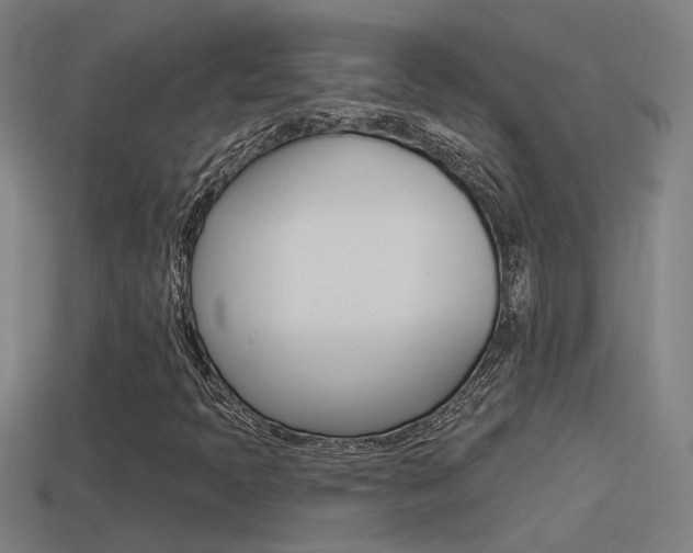 X0000114511397200910190919