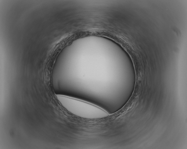 X0000114511398200910190919