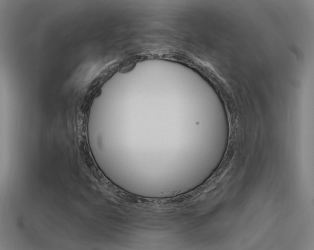 X0000114511399200910190919
