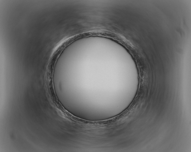 X0000114511400200910190919