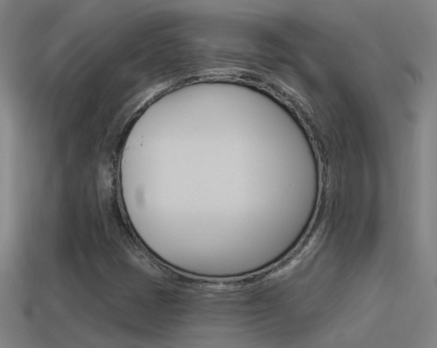 X0000114511401200910190919