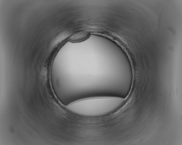 X0000114511402200910190919