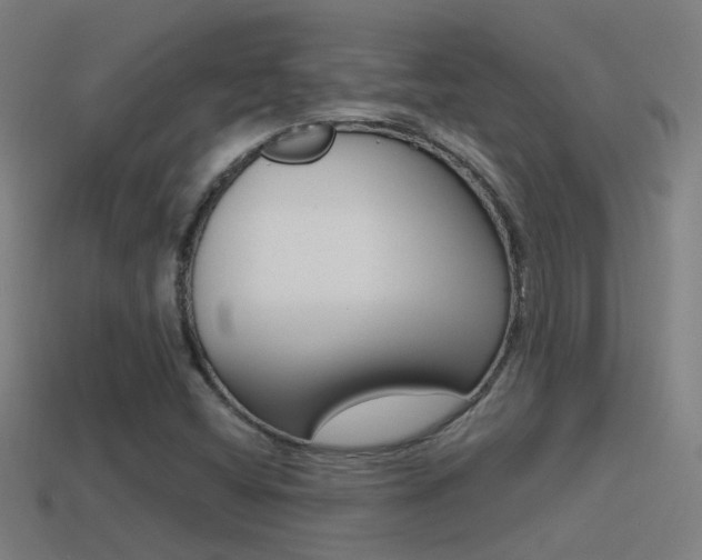X0000114511404200910190920