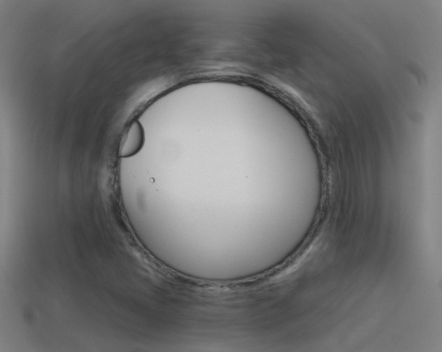 X0000114511405200910190920