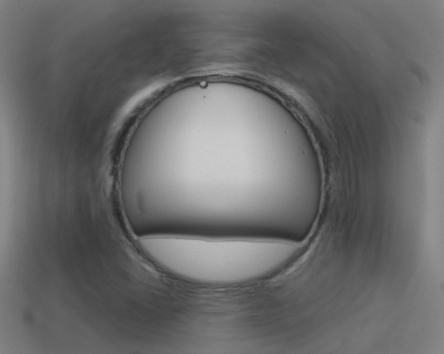 X0000114511406200910190920