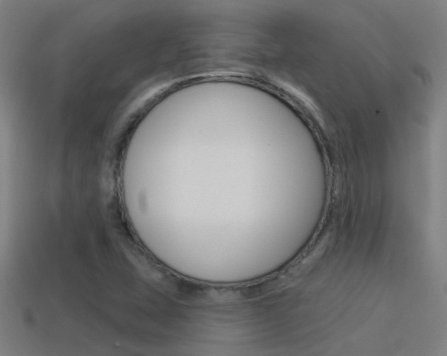 X0000114511407200910190920