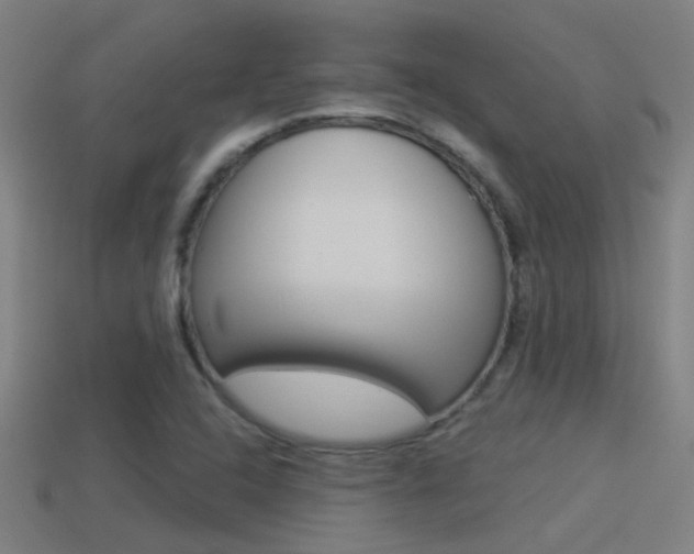 X0000114511408200910190920