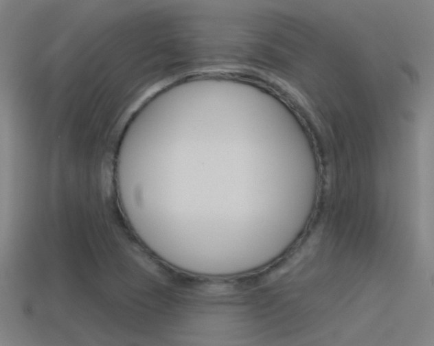 X0000114511409200910190920