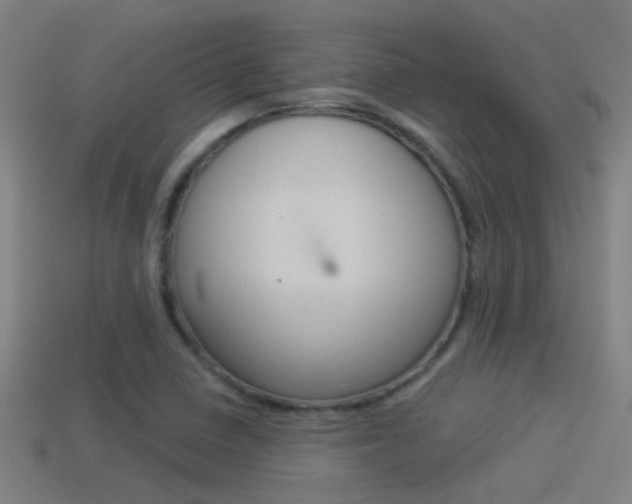 X0000114511410200910190920