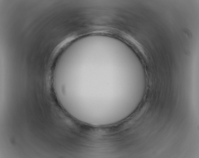 X0000114511411200910190920