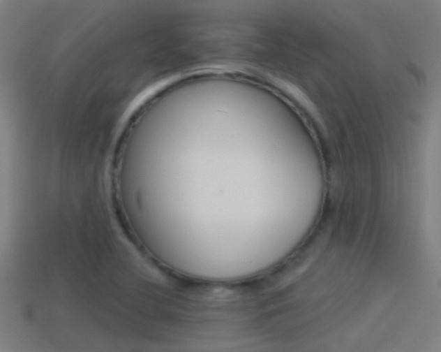 X0000114511412200910190920