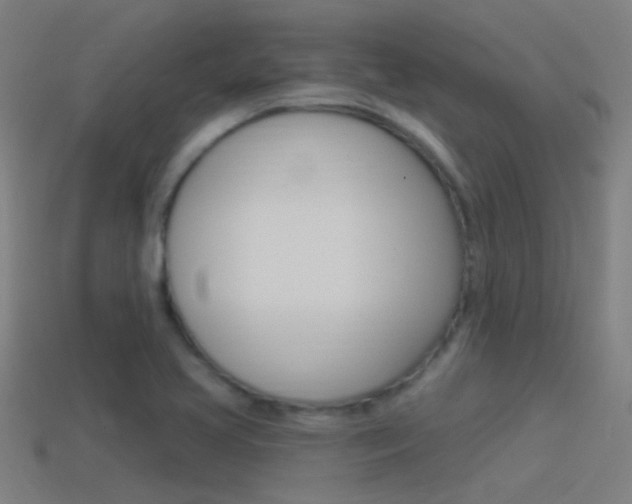 X0000114511413200910190920