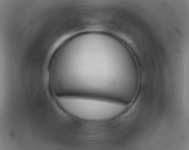 X0000114511414200910190920
