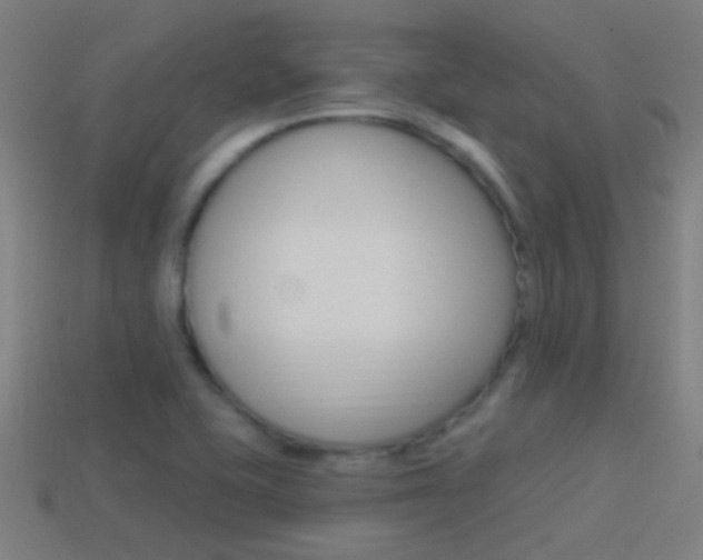 X0000114511415200910190920