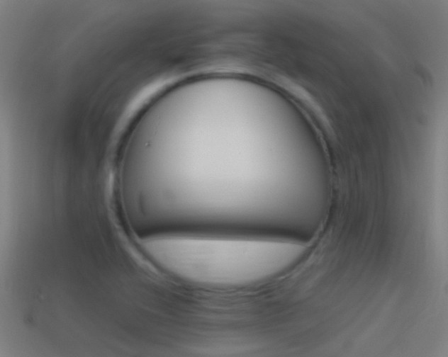 X0000114511416200910190920