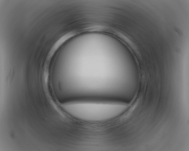 X0000114511418200910190920
