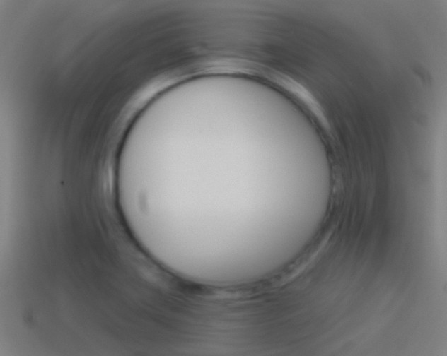 X0000114511419200910190920