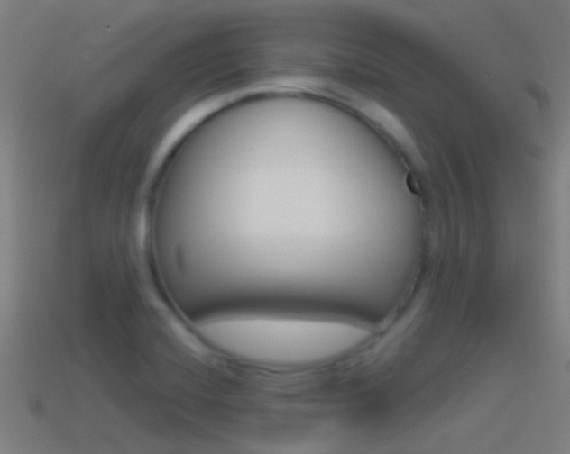 X0000114511420200910190920