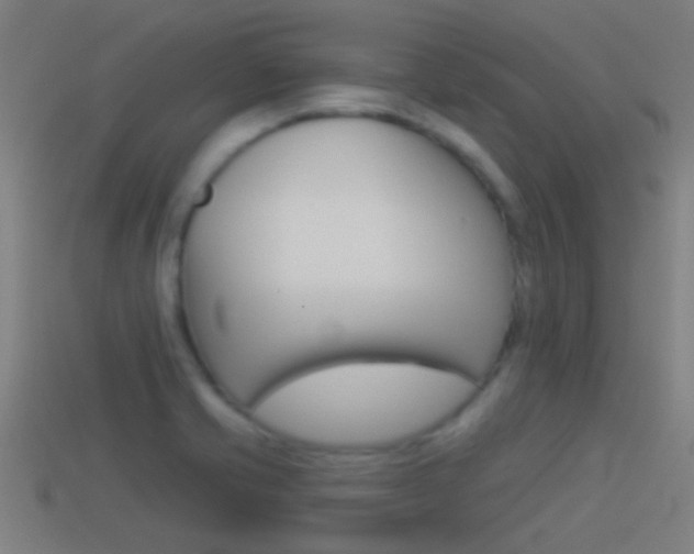X0000114511421200910190920