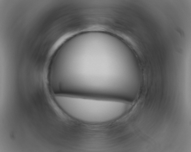 X0000114511422200910190920