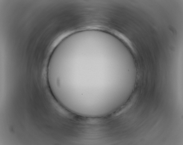 X0000114511423200910190920