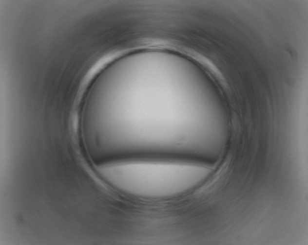 X0000114511424200910190920