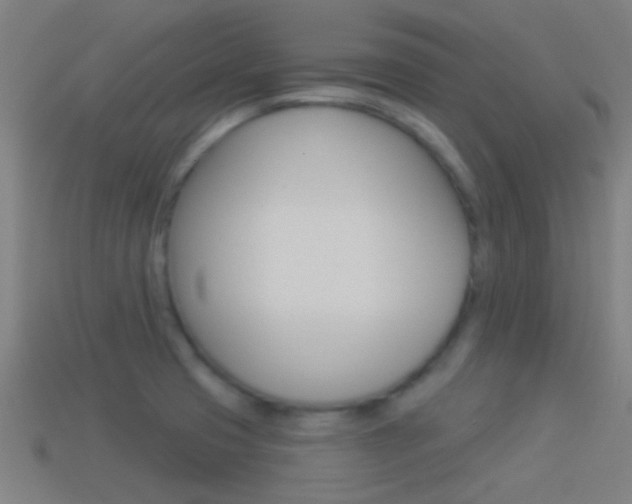 X0000114511425200910190920