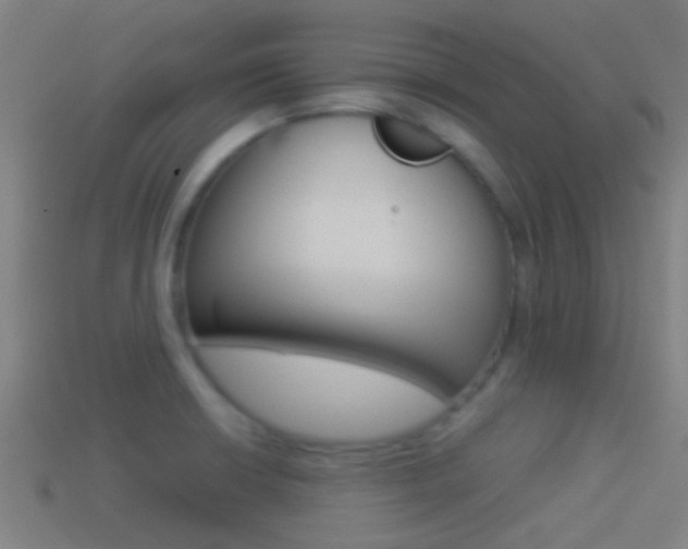 X0000114511426200910190920