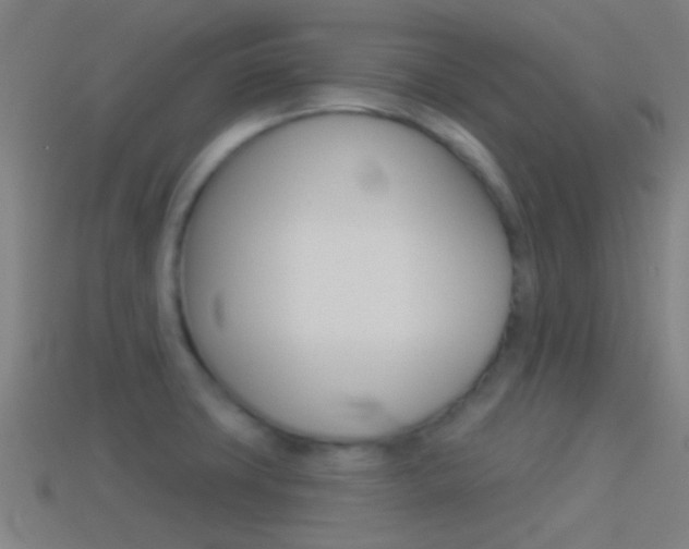 X0000114511427200910190920