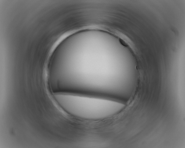 X0000114511428200910190920
