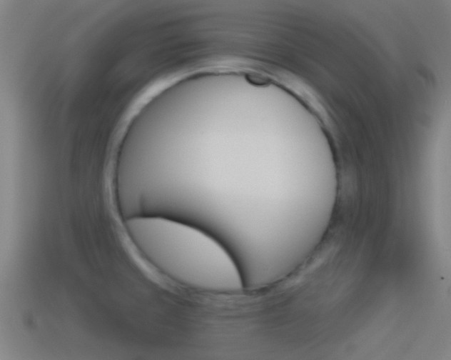 X0000114511429200910190920